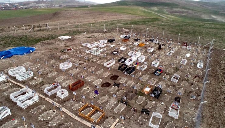Ankara’da evcil hayvan mezarlığı mahallede kriz çıkardı: CİMER’e başvurdular