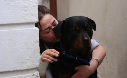 Sakarya’da köpek besleyen kadın sokak köpeğinin saldırısına uğradı: ‘Ölümden döndüm’