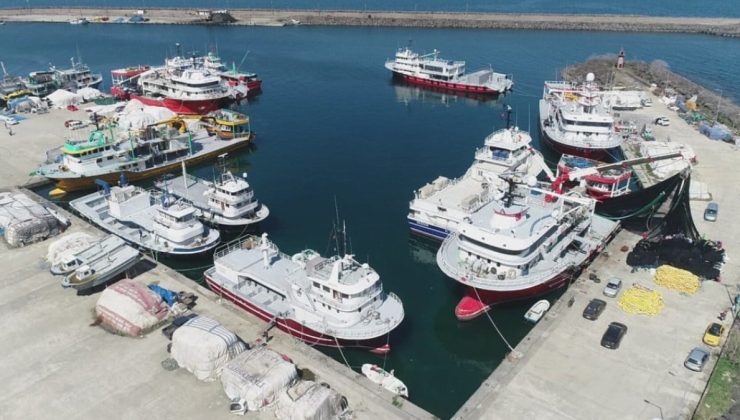 Karadeniz’de hamsi sezonu erken bitti